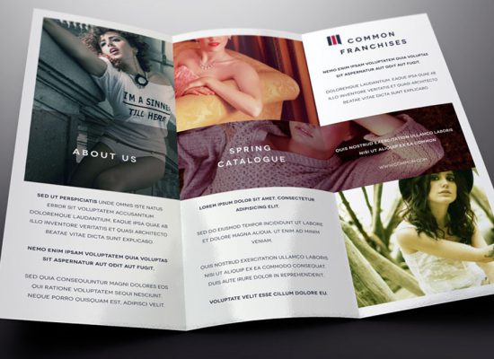 Tri-fold Brochure